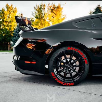 MICHELIN RED , a Set for 4 tires (204)